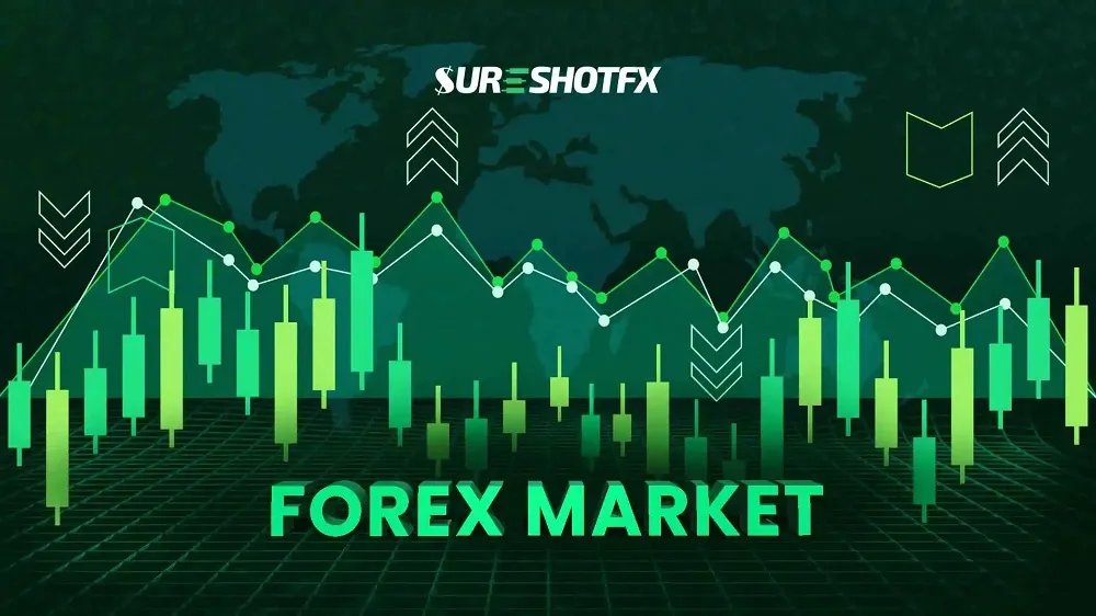 Navigating the Forex Market: Tips for Beginners in 2024